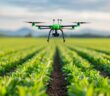 Nachhaltige Energie im Precision Farming – Landwirtschaft mit Zukunft (Foto: AdobeStock - 913576282 Pachara)